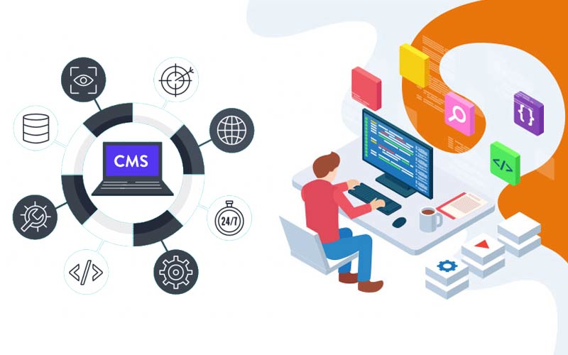 how to choose the best cms