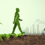 eco-friendly entrepreneurs