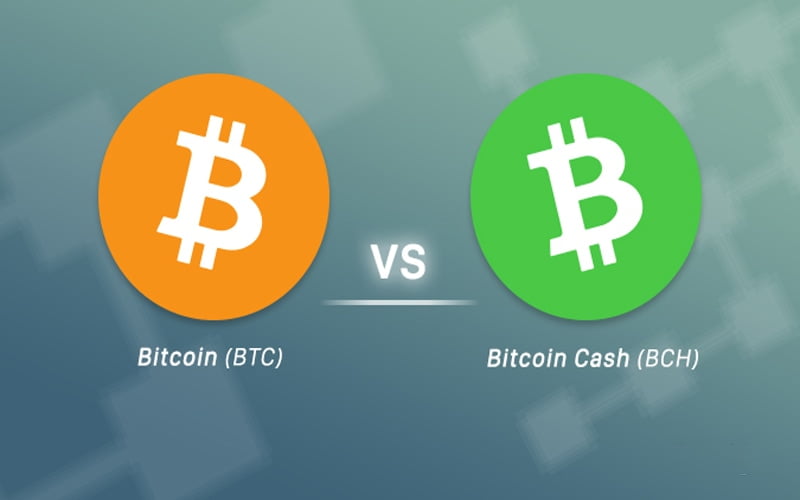 Differentiating Bitcoin (BTC) and Bitcoin Cash (BCH)